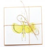 Square Card Phasmid Explosion