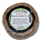 Paranussschale