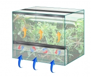 SolarRaptor HeatStrip II 950mm 16W