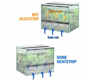 SolarRaptor HeatStrip II 1150mm 19W