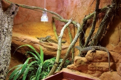 Captive Habitats - Building, furnishing and maintaining