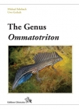 The Genus Ommatotriton