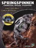 Springspinnen - Phidippus, Hyllus, Plexipus