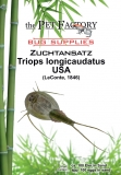 Zuchtansatz Triops longicaudatus USA
