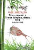 Zuchtansatz longicaudatus RED