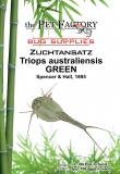 Triops australiensis GREEN